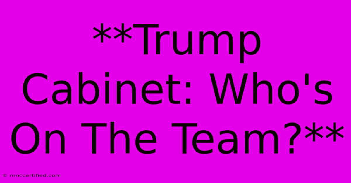 **Trump Cabinet: Who's On The Team?**