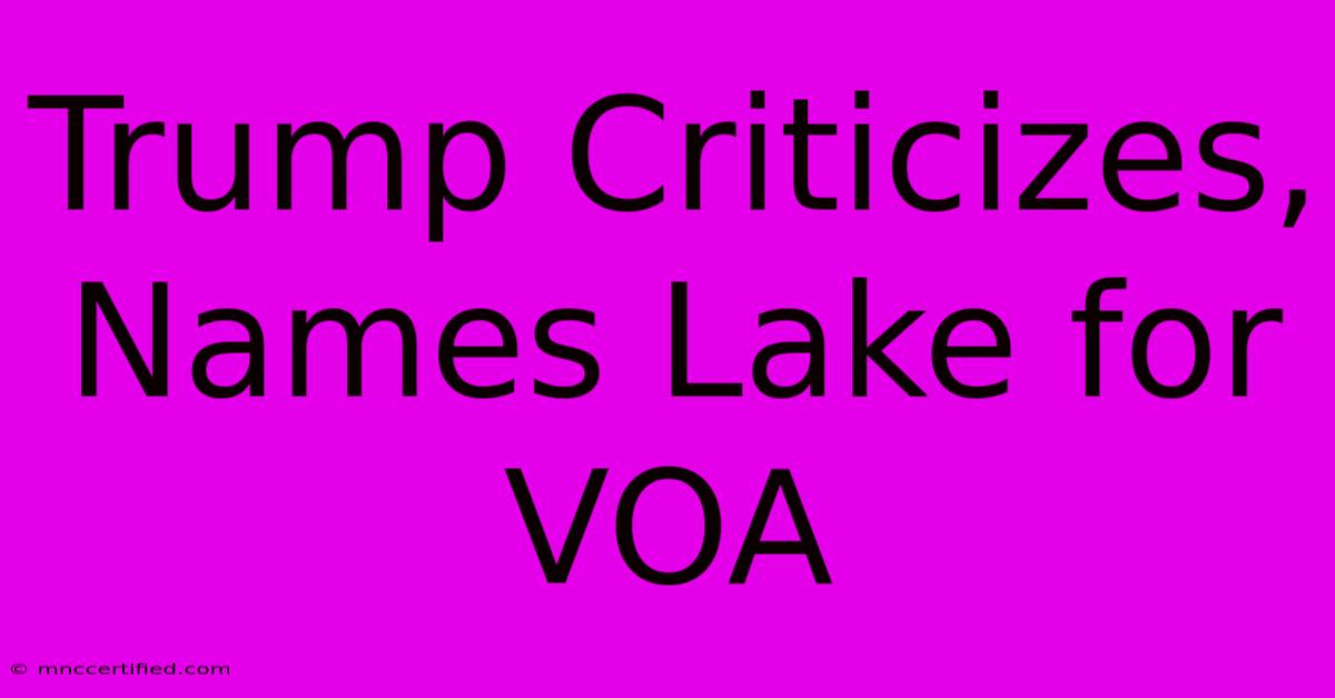 Trump Criticizes, Names Lake For VOA