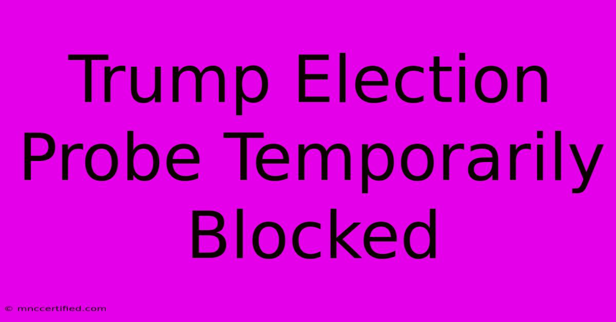 Trump Election Probe Temporarily Blocked