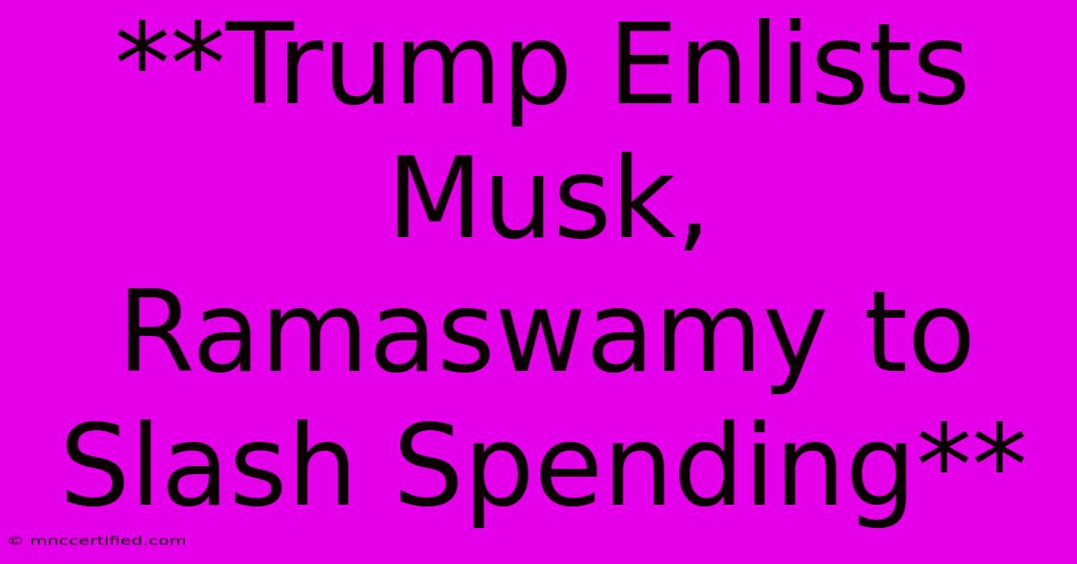 **Trump Enlists Musk, Ramaswamy To Slash Spending**