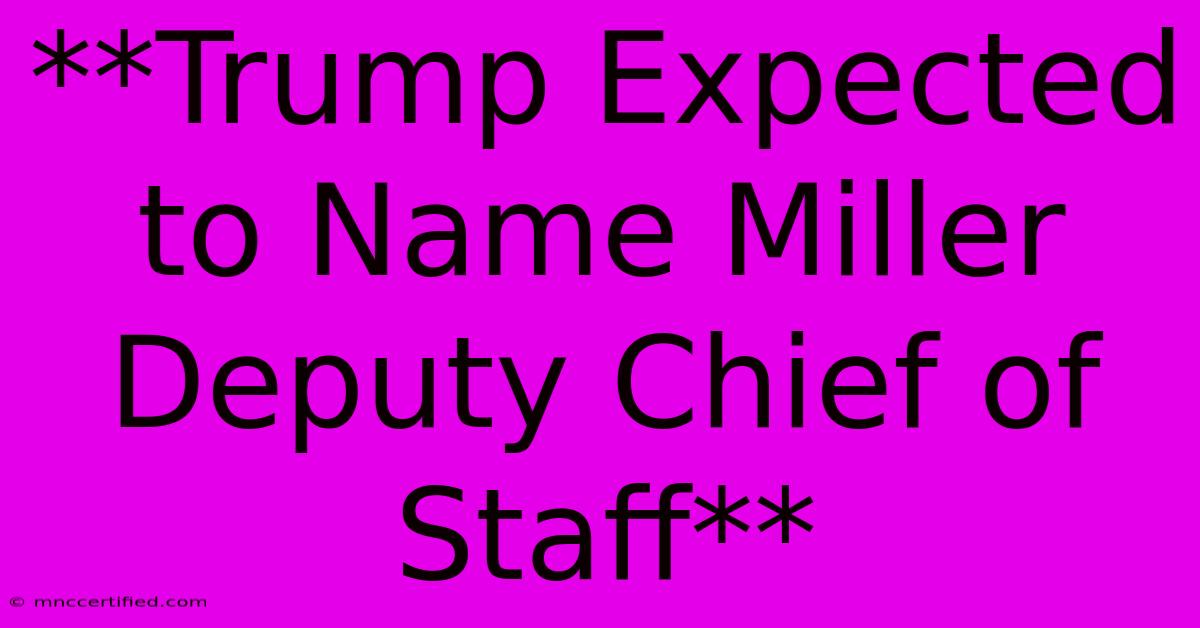 **Trump Expected To Name Miller Deputy Chief Of Staff**