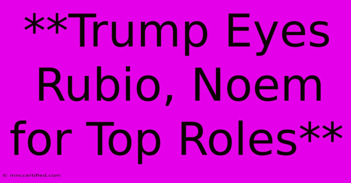 **Trump Eyes Rubio, Noem For Top Roles**