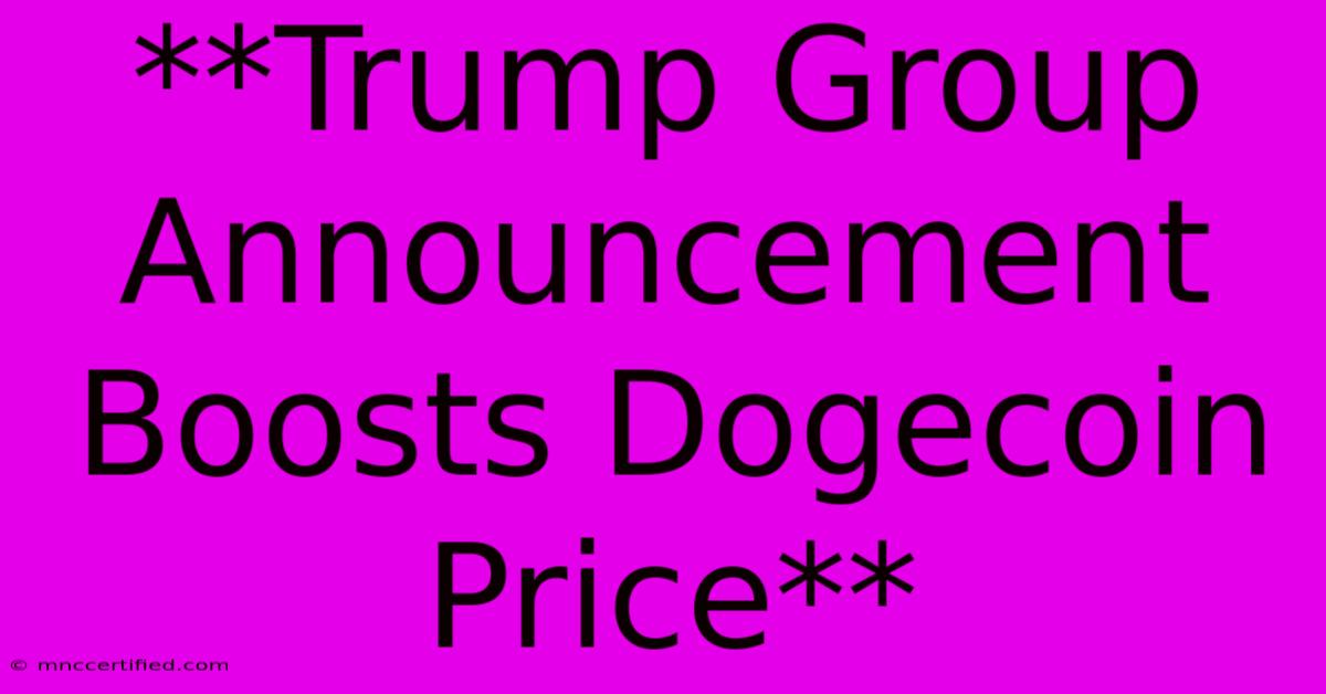 **Trump Group Announcement Boosts Dogecoin Price**