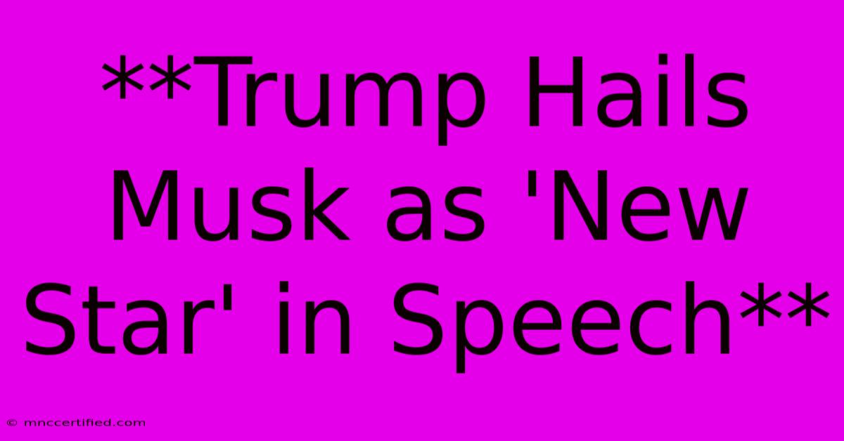 **Trump Hails Musk As 'New Star' In Speech**