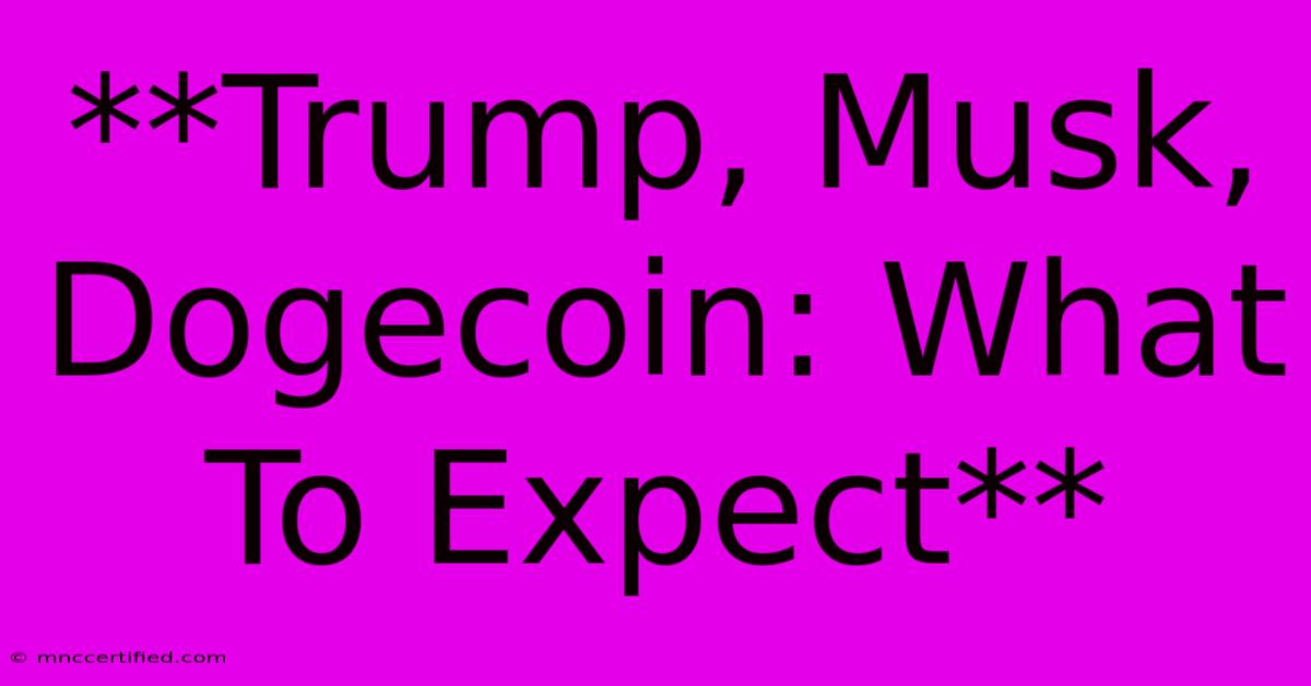 **Trump, Musk, Dogecoin: What To Expect**