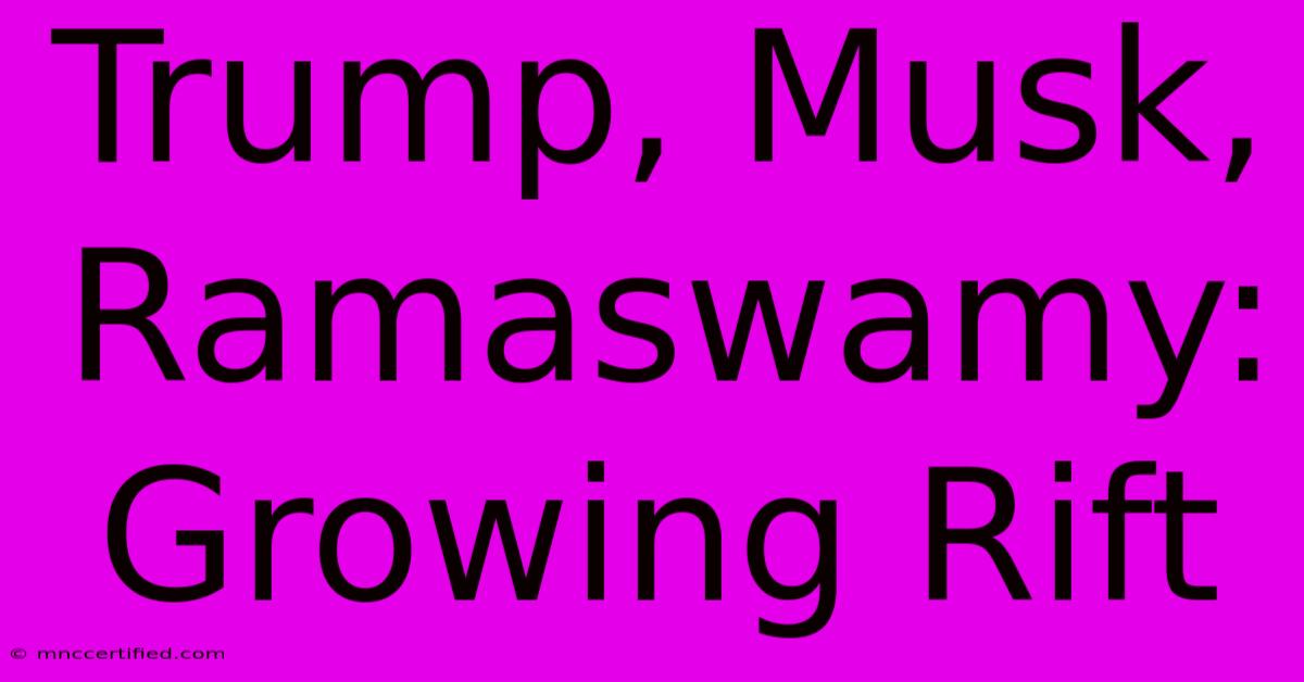 Trump, Musk, Ramaswamy: Growing Rift