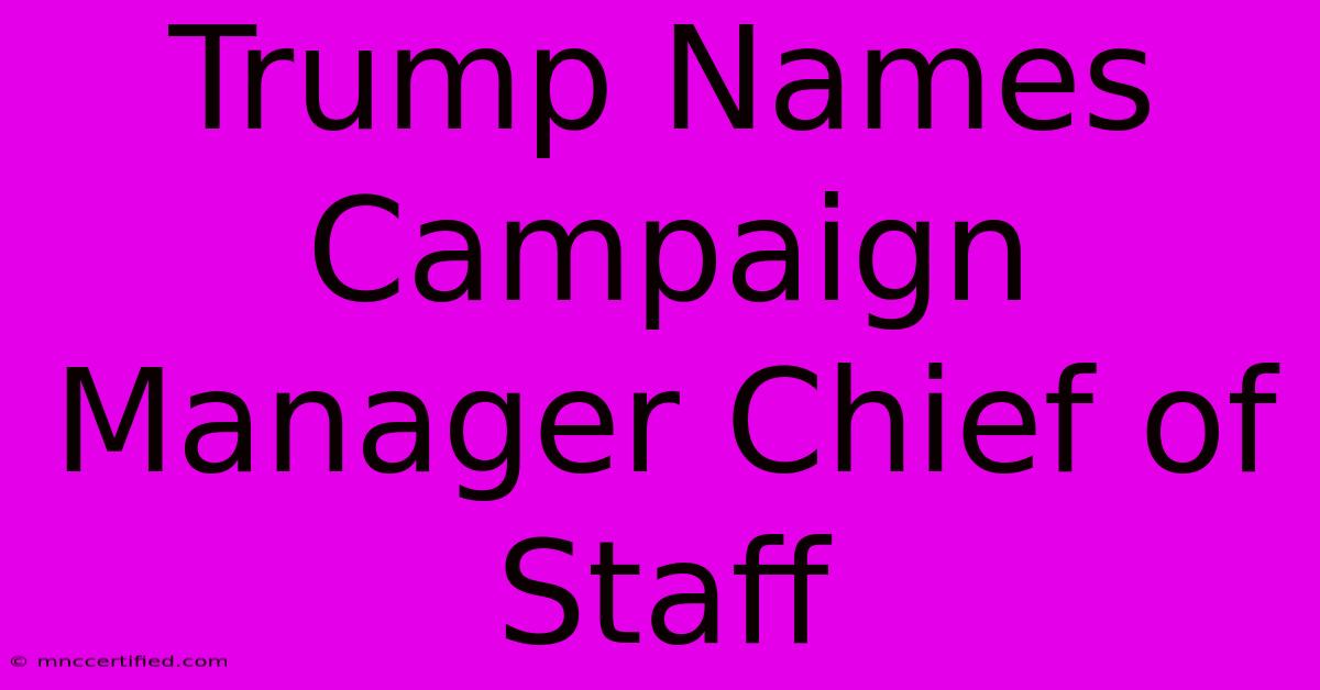 Trump Names Campaign Manager Chief Of Staff