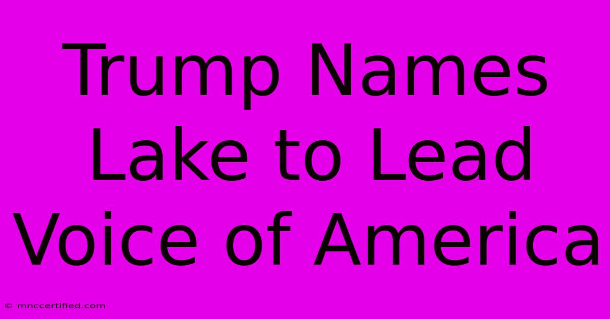 Trump Names Lake To Lead Voice Of America