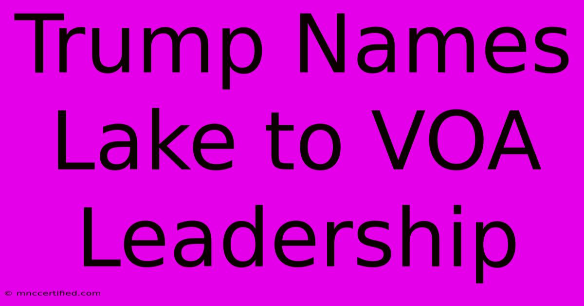 Trump Names Lake To VOA Leadership