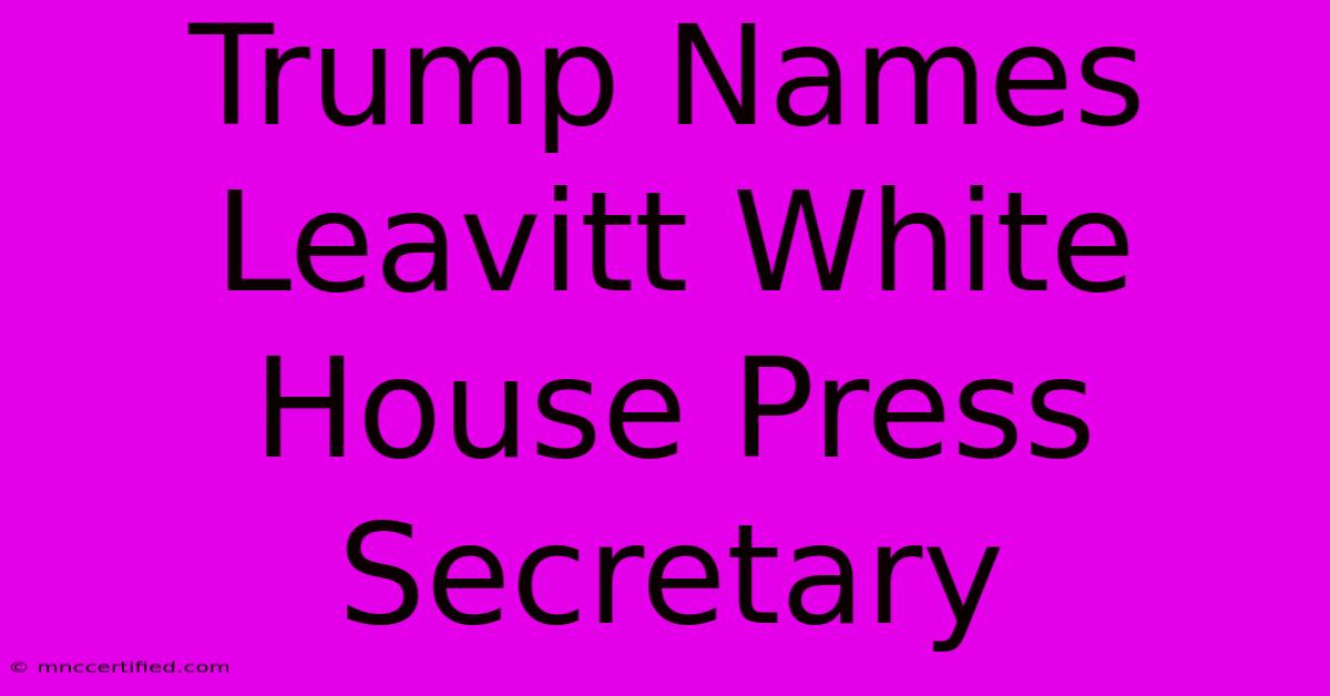 Trump Names Leavitt White House Press Secretary