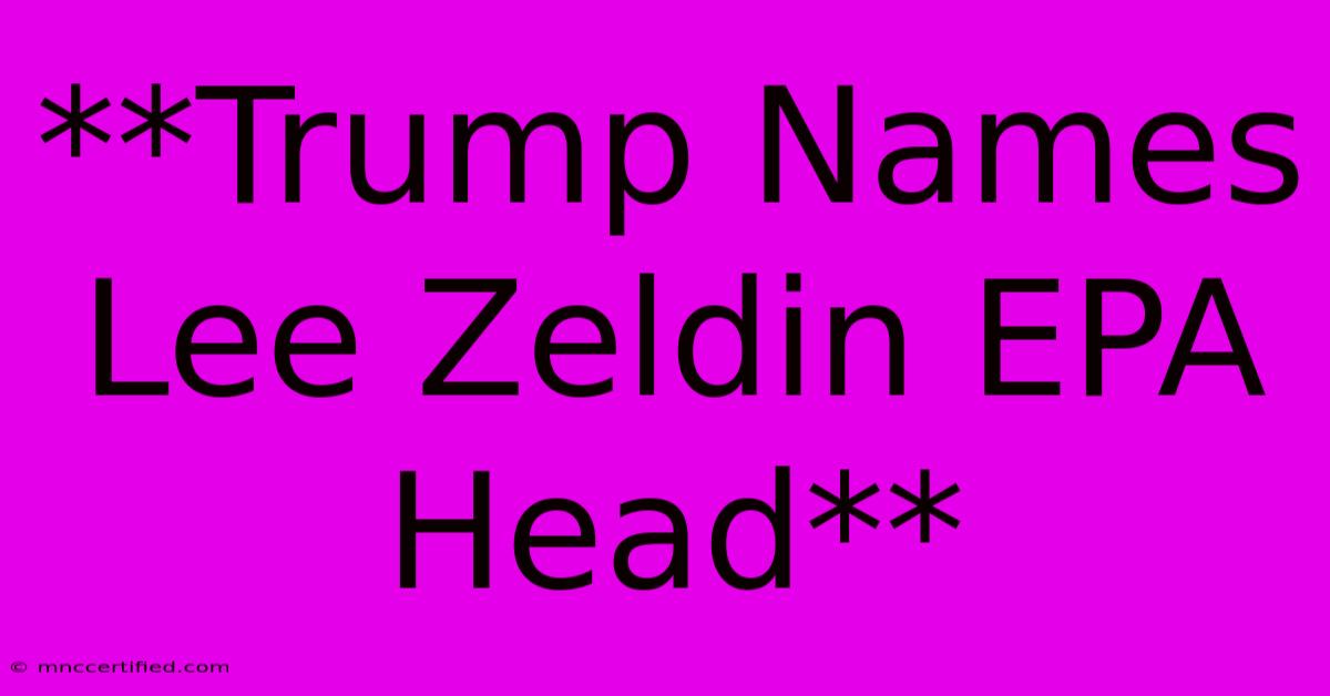 **Trump Names Lee Zeldin EPA Head**