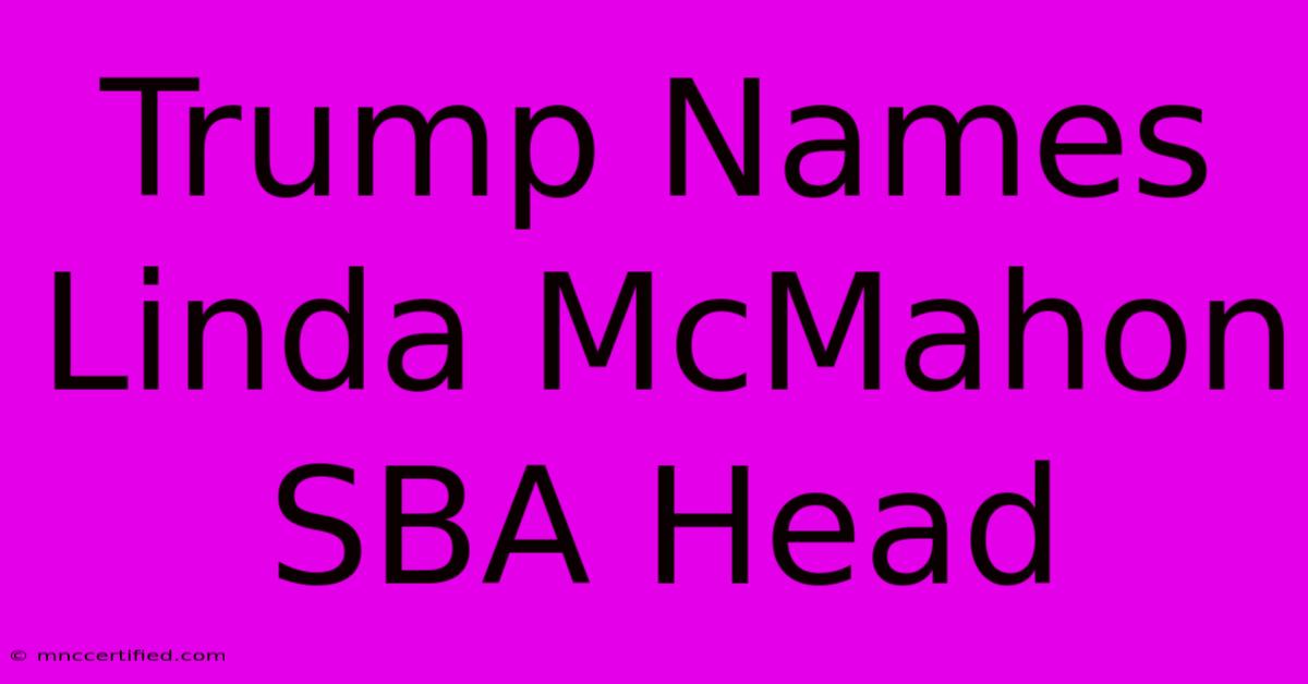 Trump Names Linda McMahon SBA Head