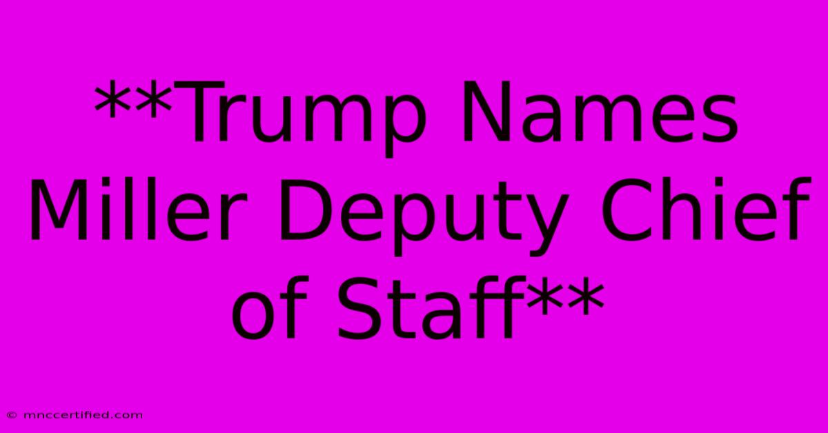 **Trump Names Miller Deputy Chief Of Staff** 