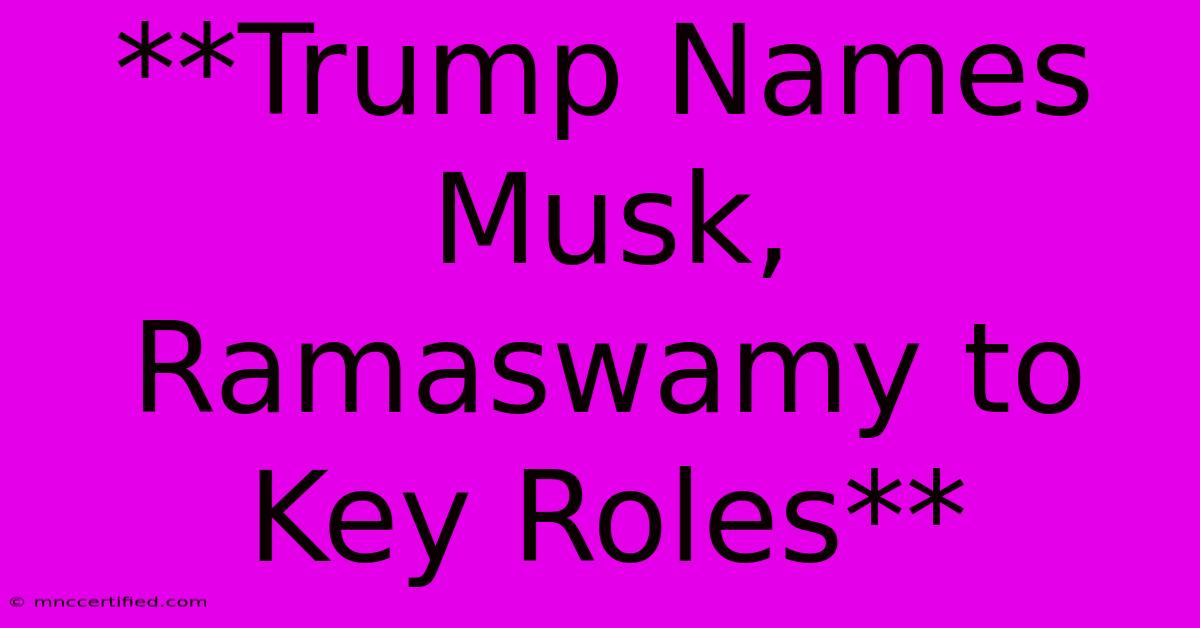 **Trump Names Musk, Ramaswamy To Key Roles**