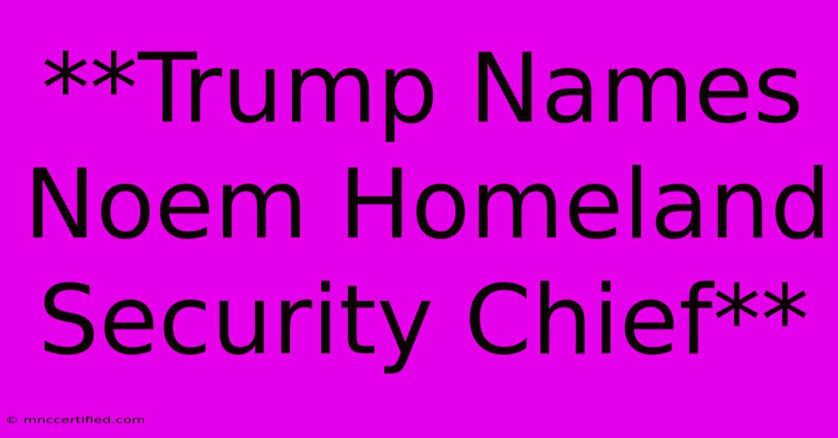 **Trump Names Noem Homeland Security Chief**