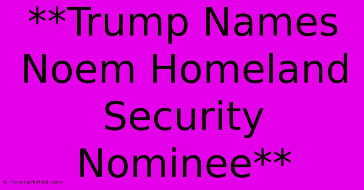 **Trump Names Noem Homeland Security Nominee** 