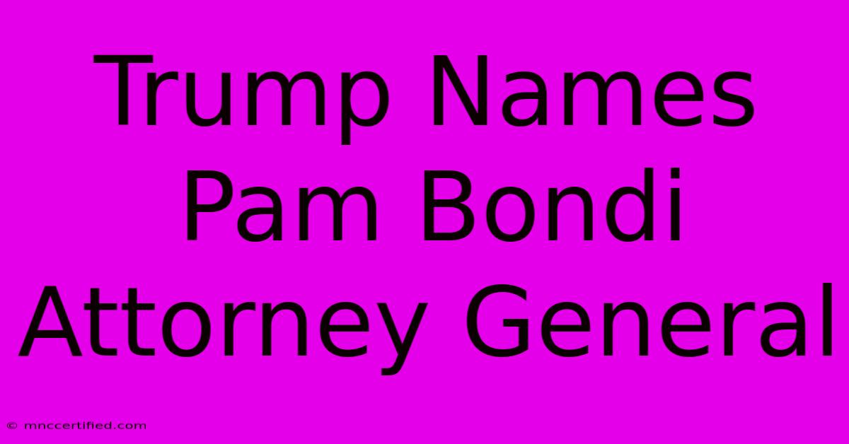 Trump Names Pam Bondi Attorney General