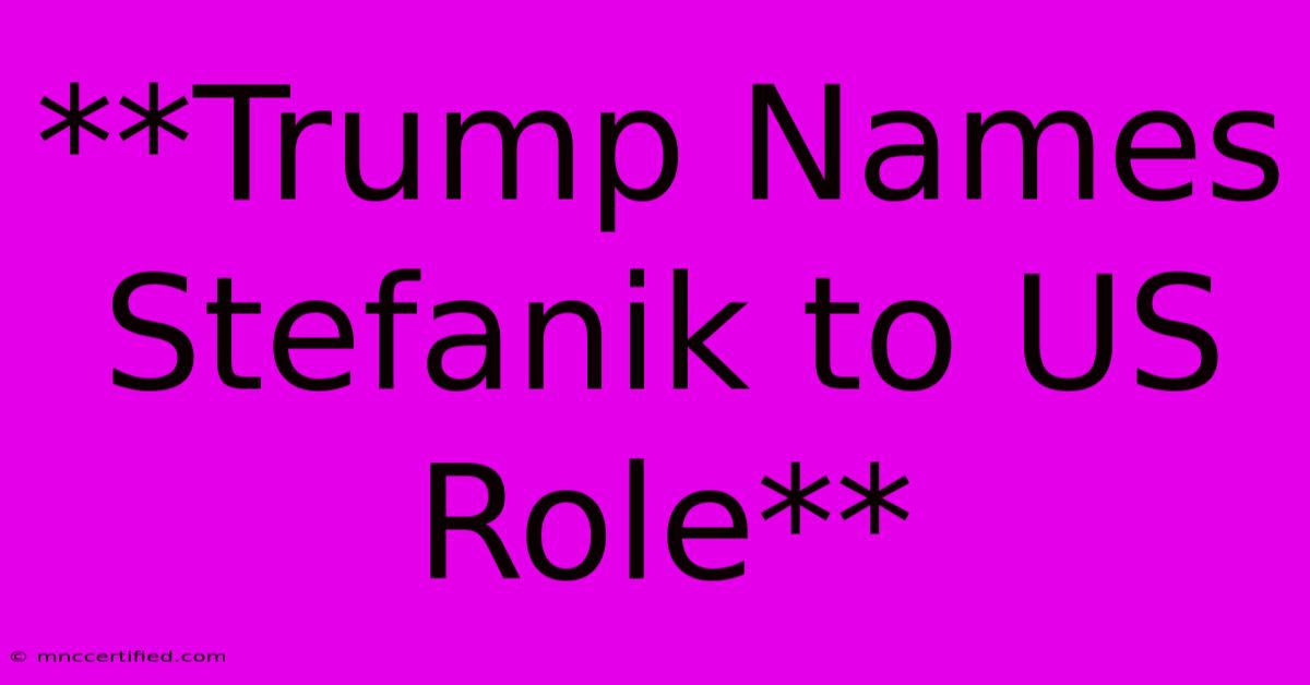 **Trump Names Stefanik To US Role**