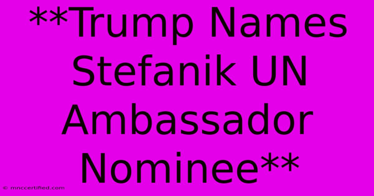 **Trump Names Stefanik UN Ambassador Nominee** 