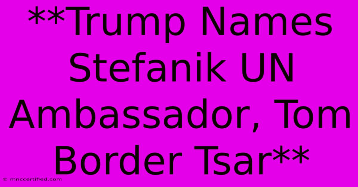 **Trump Names Stefanik UN Ambassador, Tom Border Tsar**