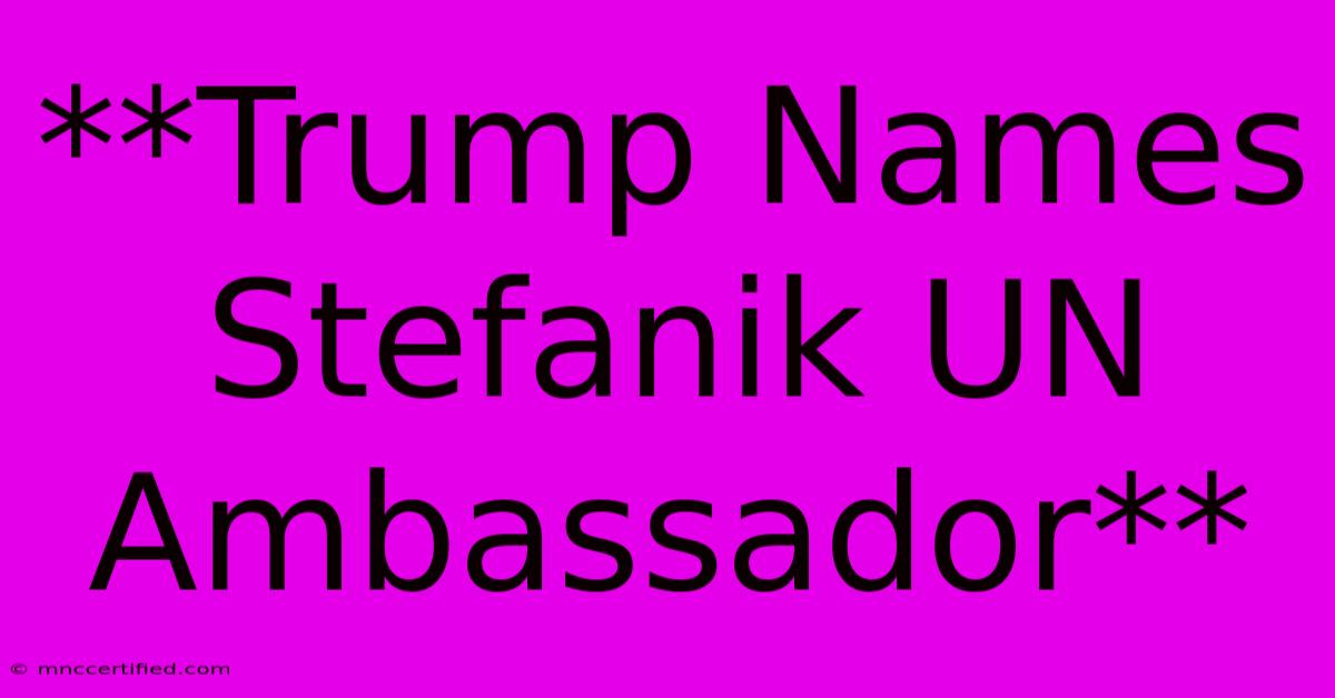 **Trump Names Stefanik UN Ambassador**