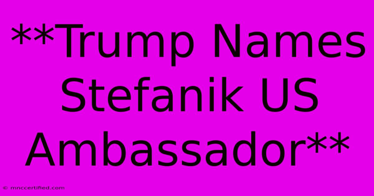 **Trump Names Stefanik US Ambassador** 