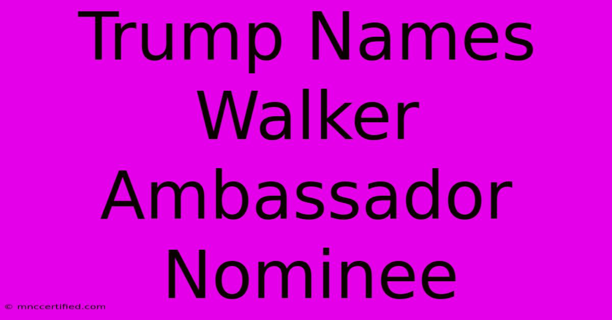 Trump Names Walker Ambassador Nominee