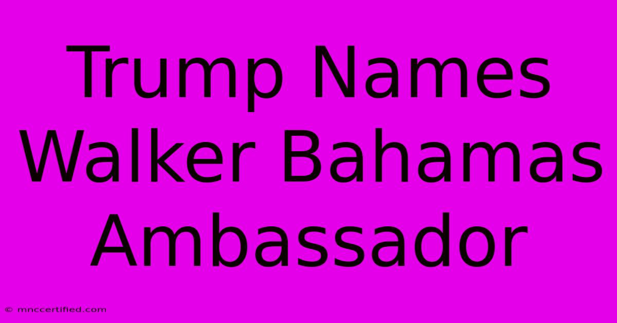 Trump Names Walker Bahamas Ambassador