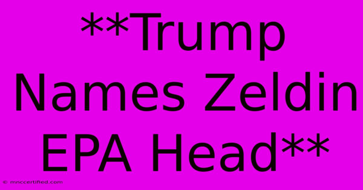 **Trump Names Zeldin EPA Head**