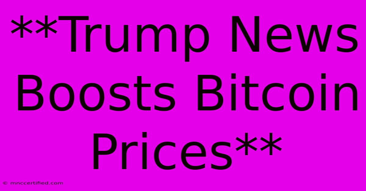 **Trump News Boosts Bitcoin Prices**