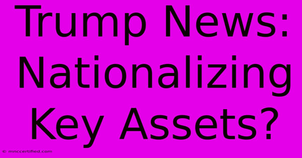 Trump News: Nationalizing Key Assets?