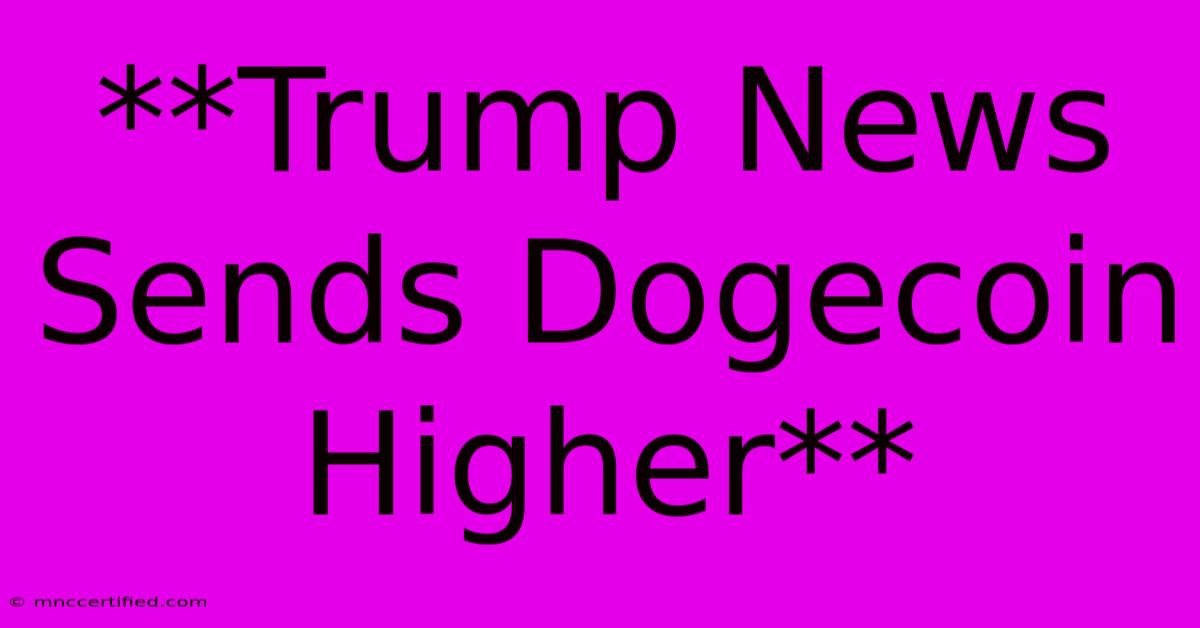 **Trump News Sends Dogecoin Higher**