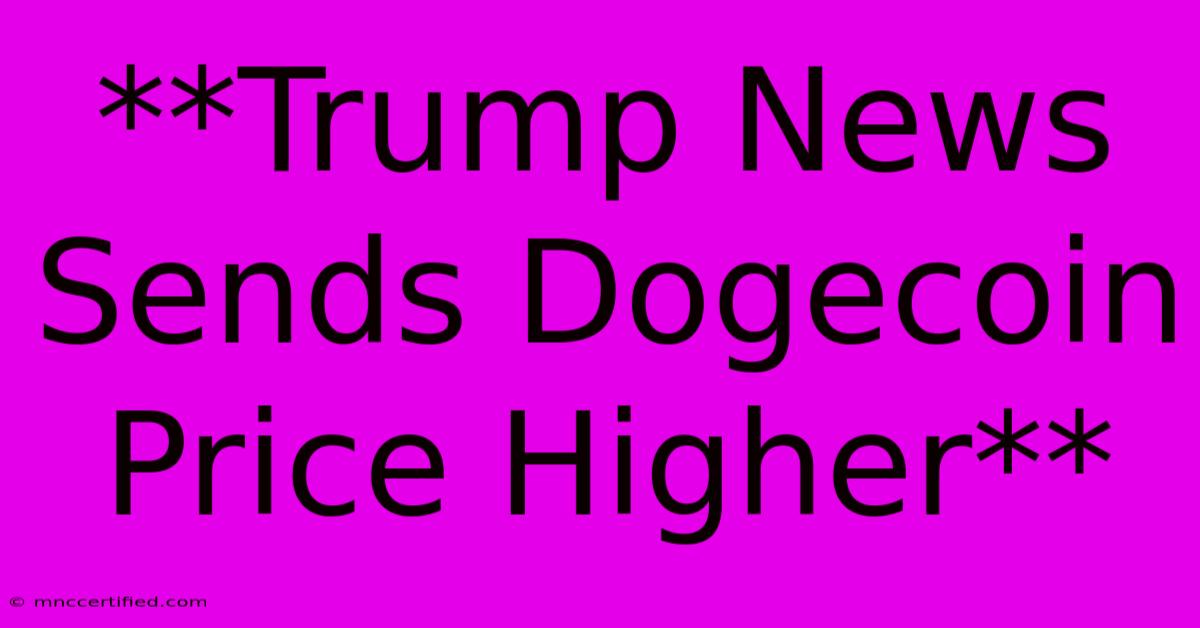 **Trump News Sends Dogecoin Price Higher** 