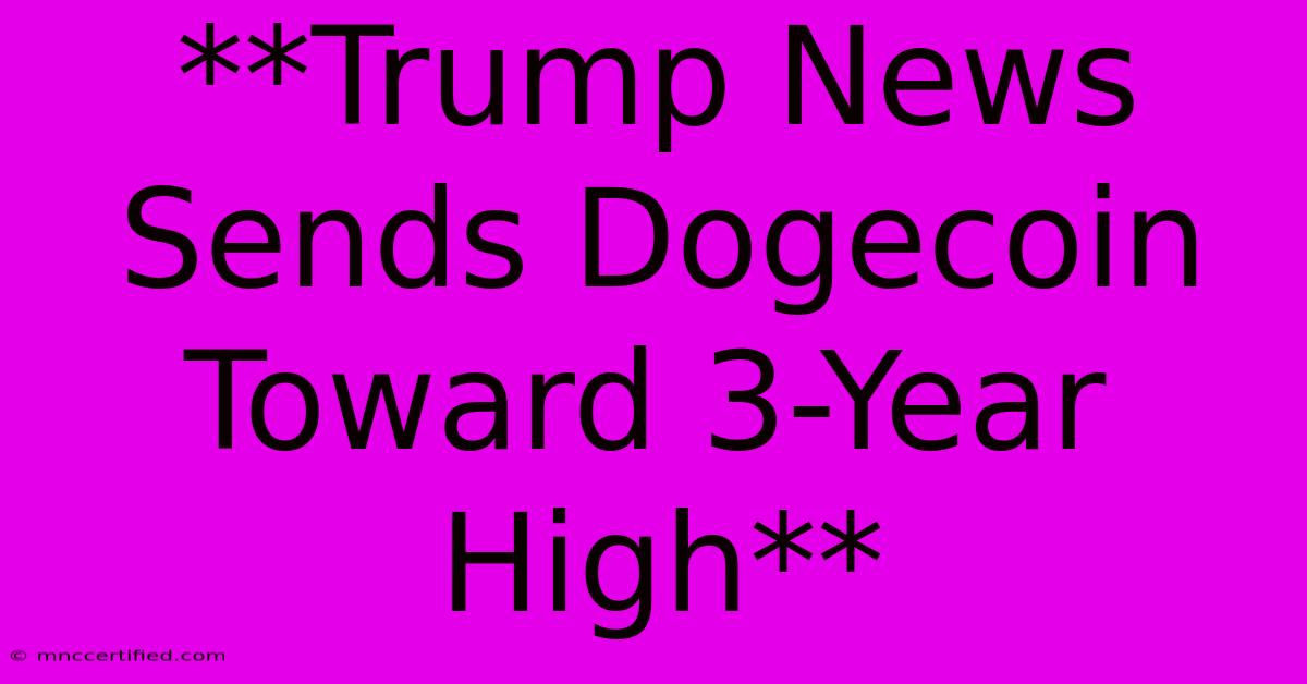 **Trump News Sends Dogecoin Toward 3-Year High**