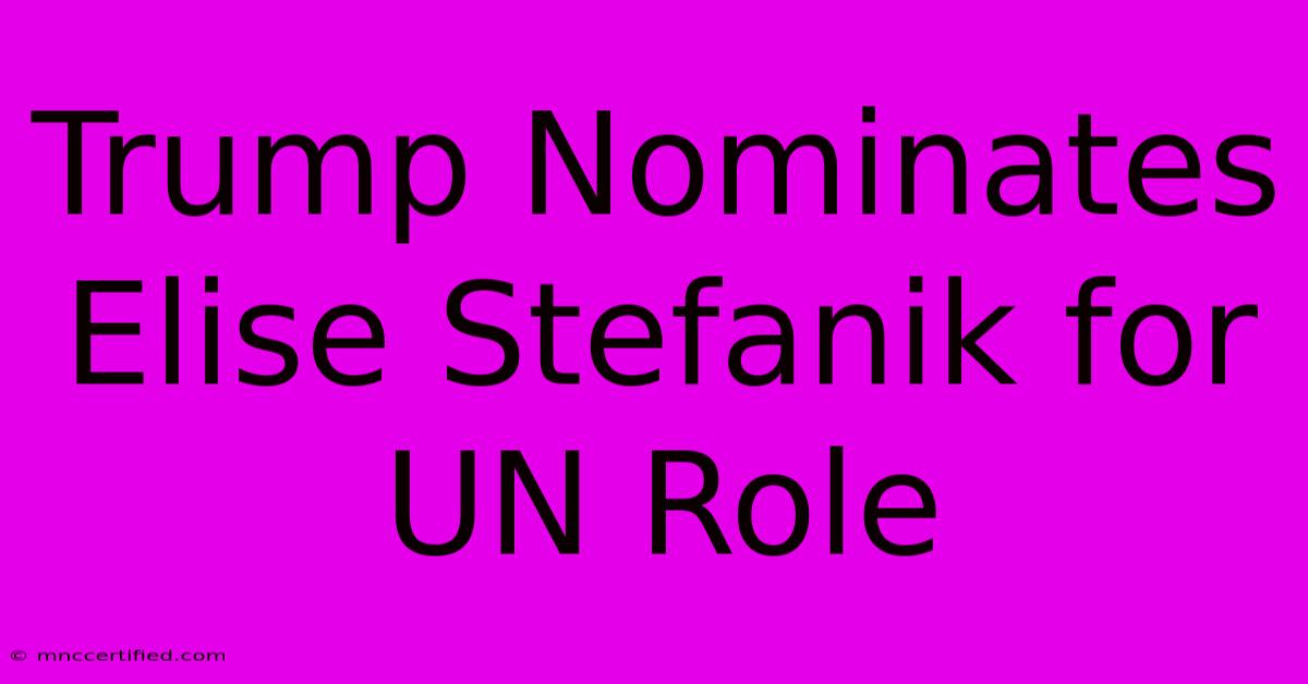 Trump Nominates Elise Stefanik For UN Role 