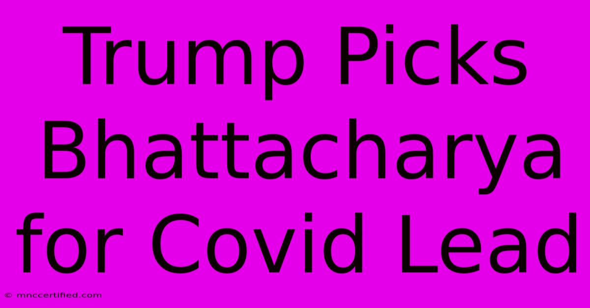 Trump Picks Bhattacharya For Covid Lead