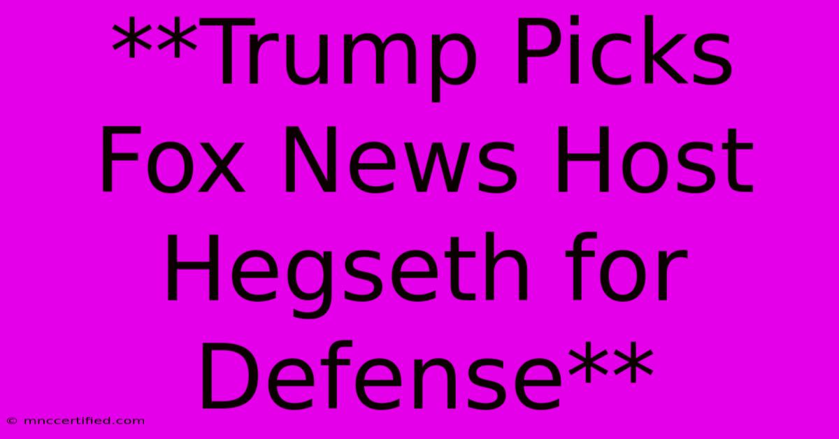 **Trump Picks Fox News Host Hegseth For Defense**