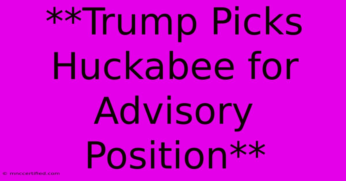 **Trump Picks Huckabee For Advisory Position**