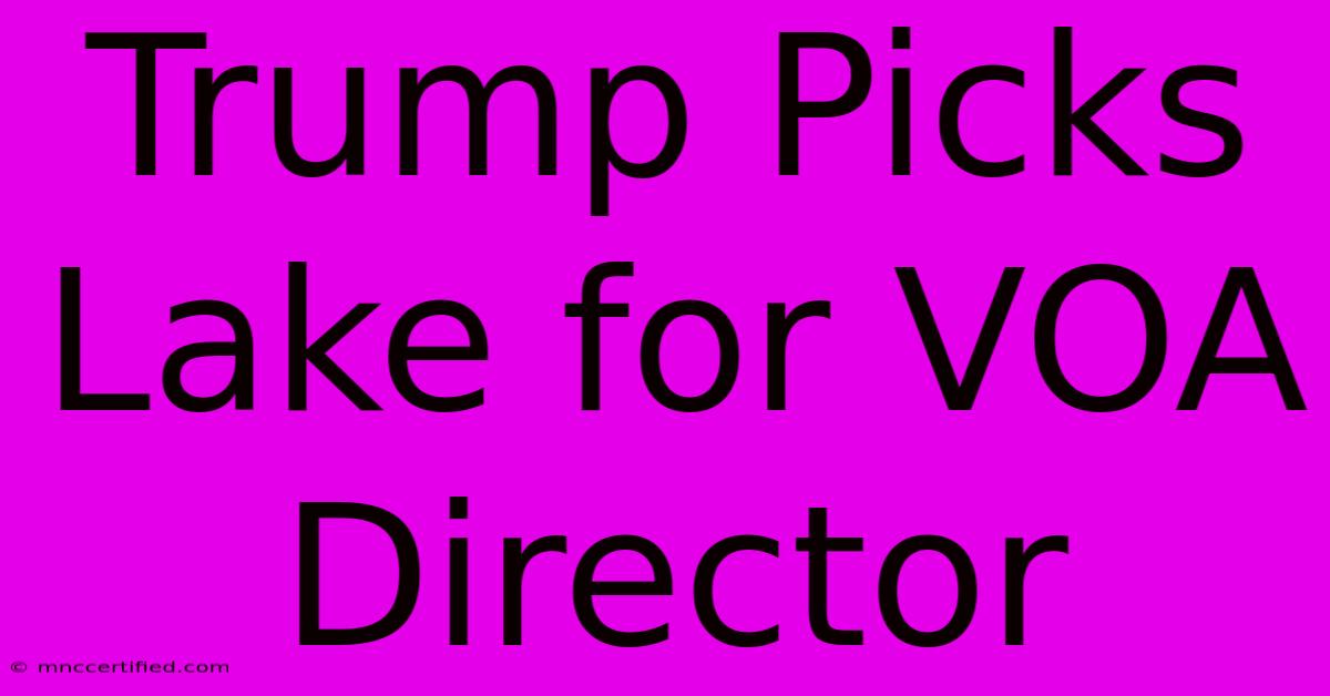 Trump Picks Lake For VOA Director