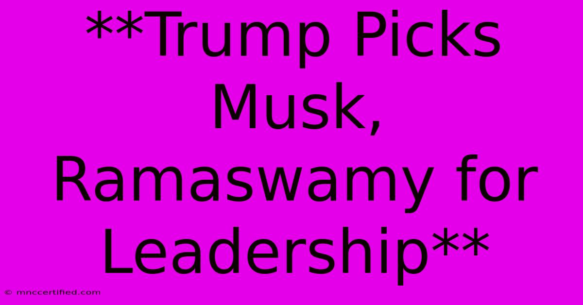 **Trump Picks Musk, Ramaswamy For Leadership**