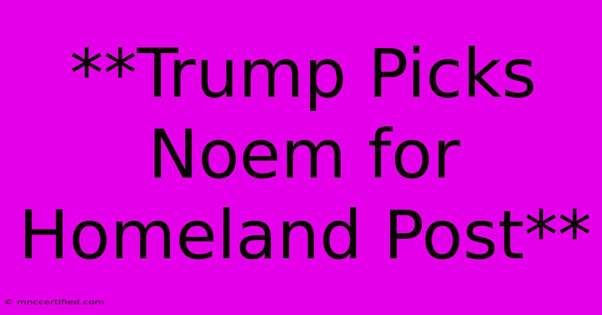 **Trump Picks Noem For Homeland Post** 