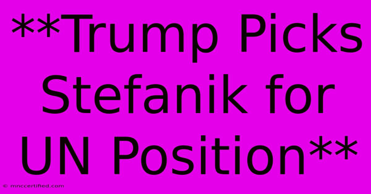 **Trump Picks Stefanik For UN Position** 