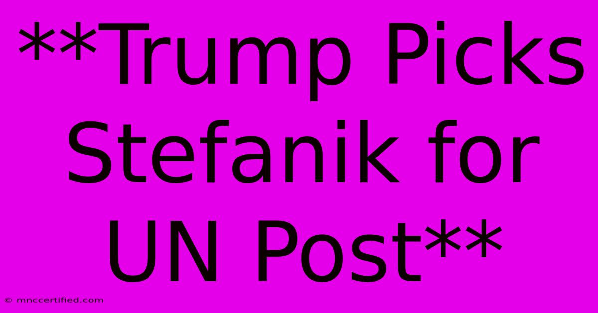 **Trump Picks Stefanik For UN Post**