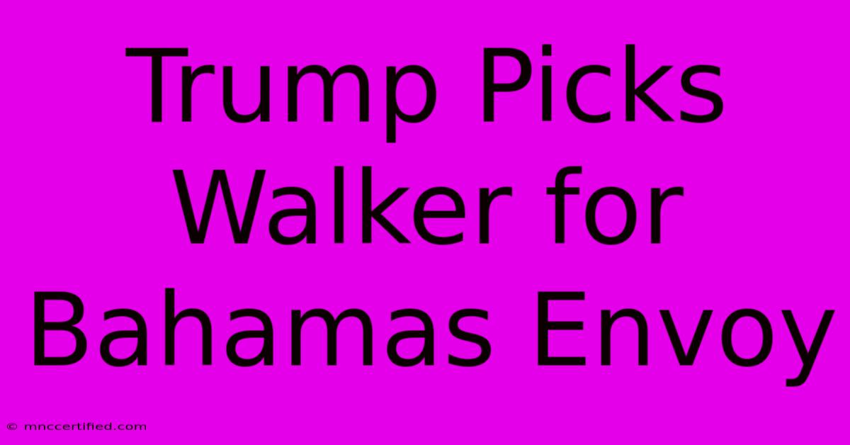 Trump Picks Walker For Bahamas Envoy