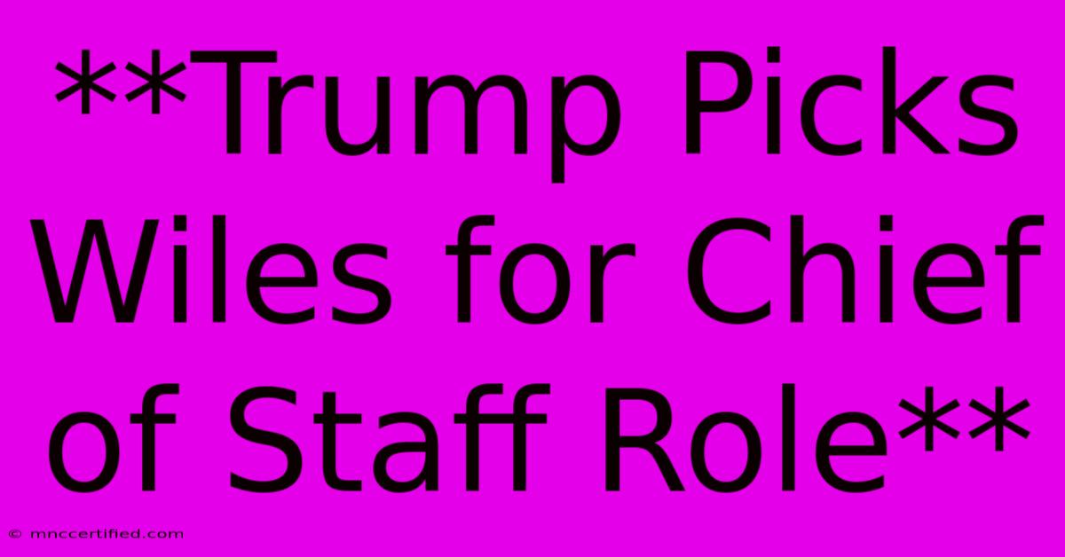 **Trump Picks Wiles For Chief Of Staff Role**