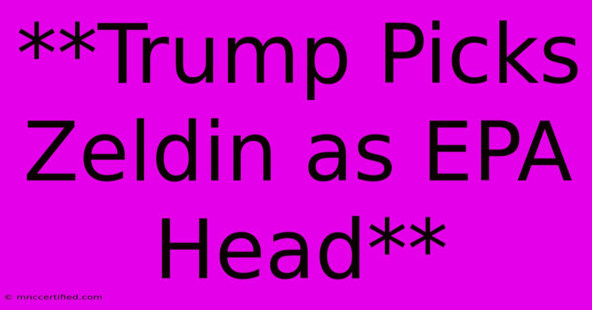 **Trump Picks Zeldin As EPA Head**