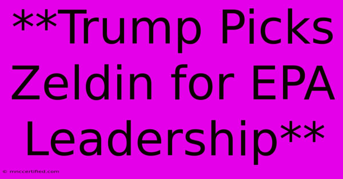 **Trump Picks Zeldin For EPA Leadership** 