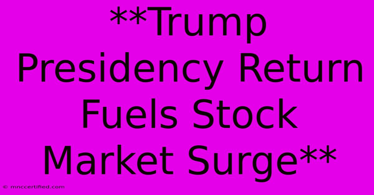 **Trump Presidency Return Fuels Stock Market Surge** 