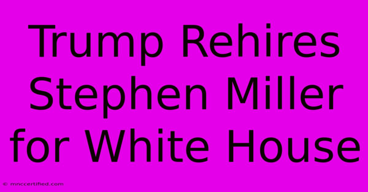 Trump Rehires Stephen Miller For White House