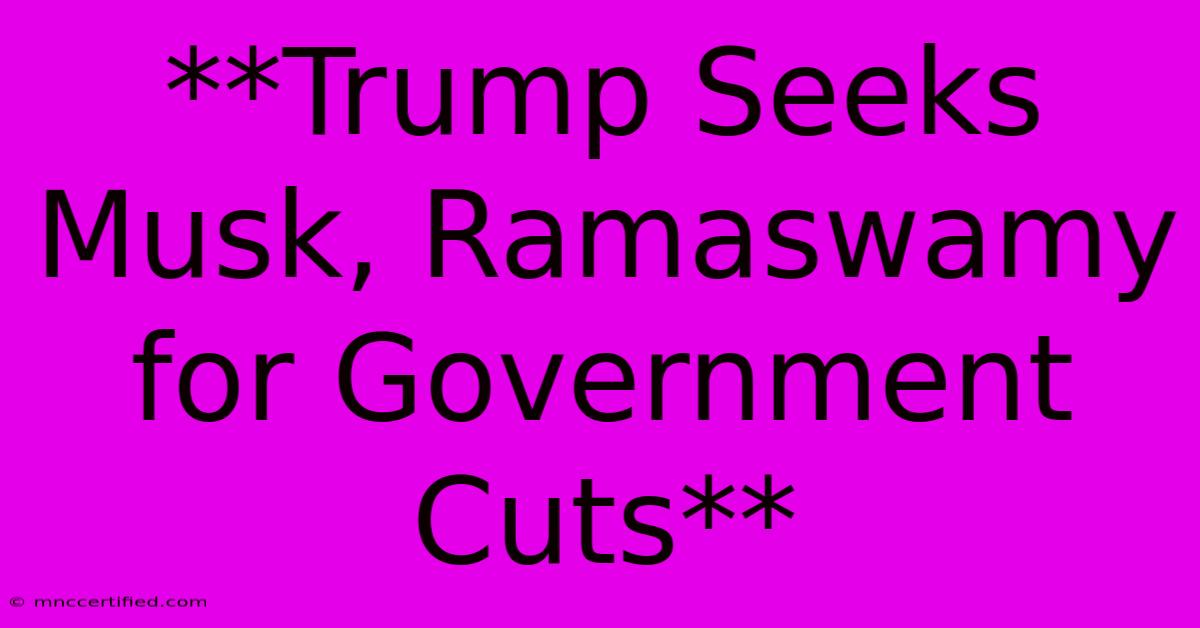 **Trump Seeks Musk, Ramaswamy For Government Cuts**